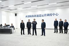 習近平在重慶考察時(shí)強調  扎實(shí)開(kāi)展黨紀學(xué)習教育